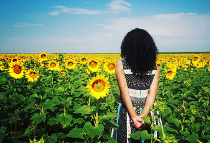 电脑手机都能用的在线轰炸机免费版